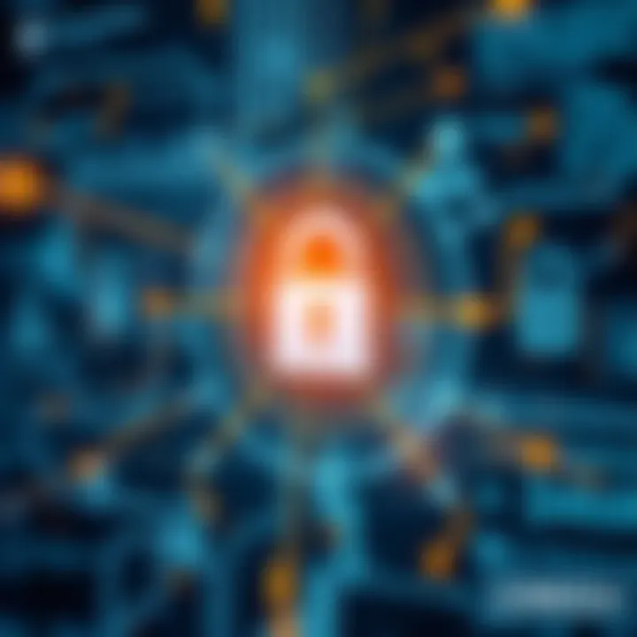 Secure data protection concept with digital lock and transparent information flow